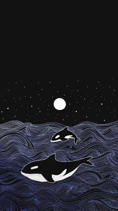 开云综合娱乐平台客服与支持团队